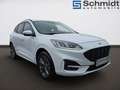 Ford Kuga ST-Line 2,0 Eblue 120PS A8 AWD Weiß - thumbnail 5