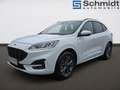 Ford Kuga ST-Line 2,0 Eblue 120PS A8 AWD Weiß - thumbnail 2