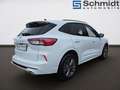 Ford Kuga ST-Line 2,0 Eblue 120PS A8 AWD Weiß - thumbnail 4