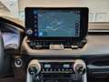 Toyota RAV 4 Dynamic Plus Grün - thumbnail 14