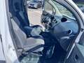 Renault Kangoo Blue dCi 95CV Express Furgone Ice Bianco - thumbnail 6