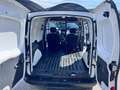 Renault Kangoo Blue dCi 95CV Express Furgone Ice Bianco - thumbnail 7