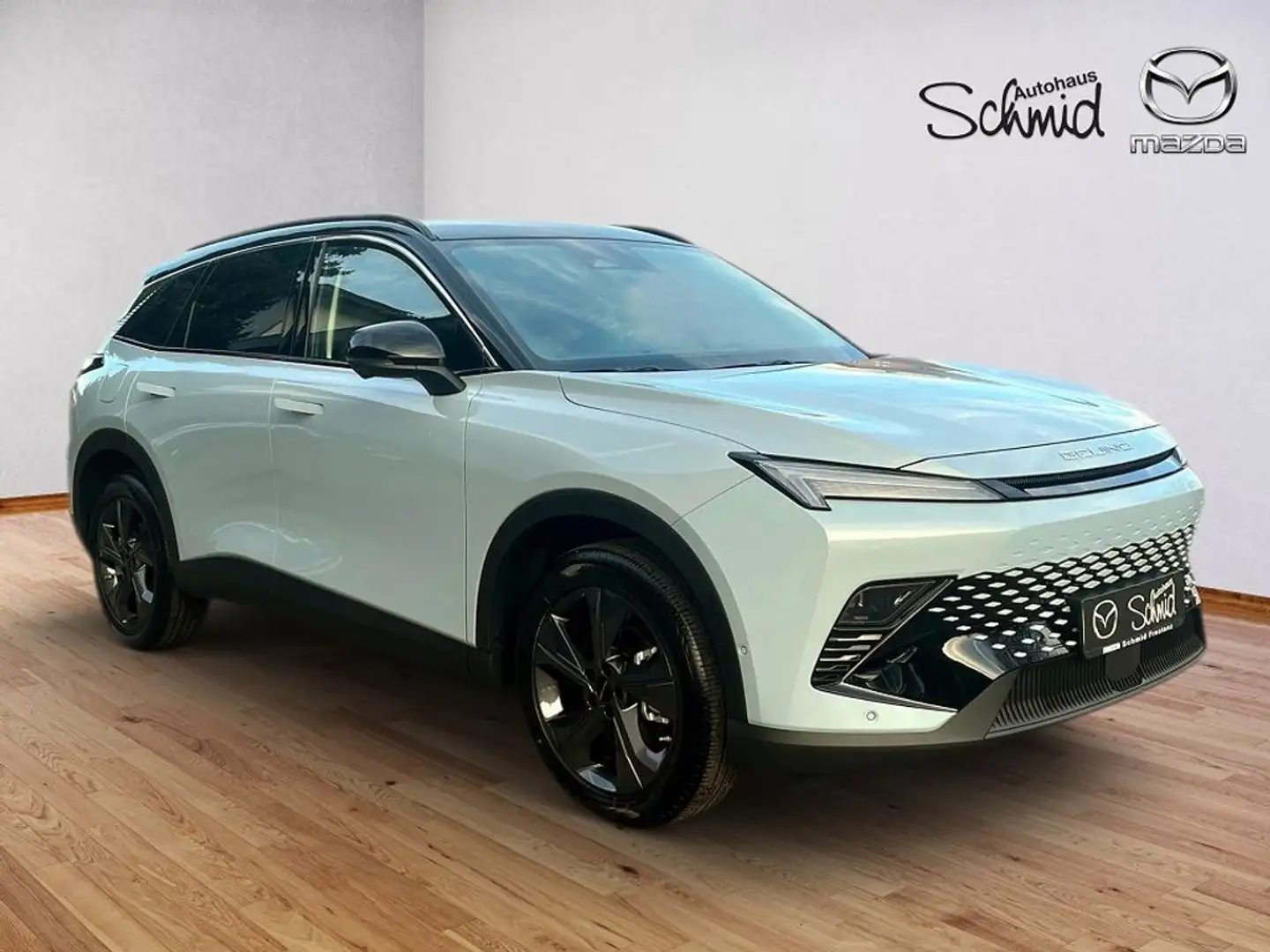BAIC Sonstige X55 1,5Turbo GDI Aut. Blau - 1