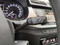 Skoda Fabia 1.4 TDI Active Klimaaut. PDC Tempomat USB Blau - thumbnail 21