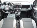 Fiat Panda Panda 1.0 FireFly S&S Hybrid Bianco - thumbnail 11