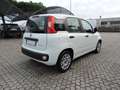 Fiat Panda Panda 1.0 FireFly S&S Hybrid Bianco - thumbnail 5