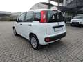 Fiat Panda Panda 1.0 FireFly S&S Hybrid Bianco - thumbnail 6