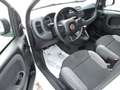 Fiat Panda Panda 1.0 FireFly S&S Hybrid Bianco - thumbnail 12