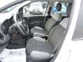 Fiat Panda Panda 1.0 FireFly S&S Hybrid Bianco - thumbnail 13