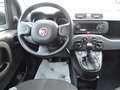 Fiat Panda Panda 1.0 FireFly S&S Hybrid Bianco - thumbnail 10