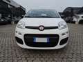 Fiat Panda Panda 1.0 FireFly S&S Hybrid Bianco - thumbnail 2