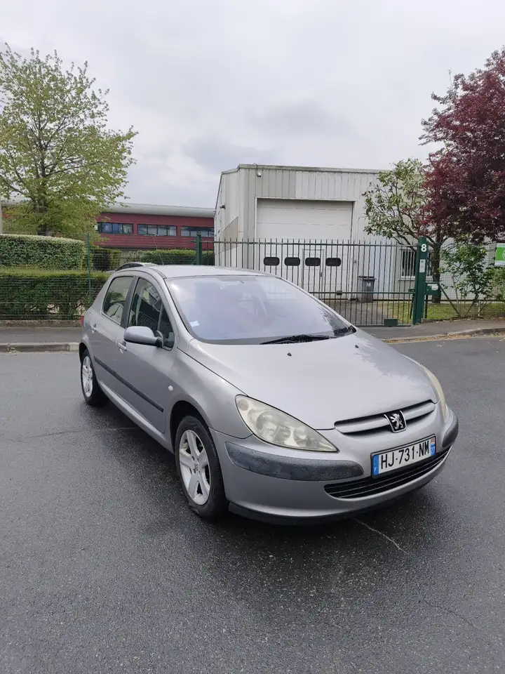 Peugeot 307 1.6i 16V XS