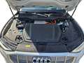 Audi e-tron advanced 55, LEDER/LED/360°VIEW Weiß - thumbnail 12