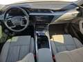 Audi e-tron advanced 55, LEDER/LED/360°VIEW Weiß - thumbnail 8