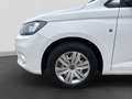 Volkswagen Caddy Maxi TDI Weiß - thumbnail 9