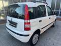 Fiat Panda 1.3 mjt 16v Active 75cv OK NEOPATENTATI Bianco - thumbnail 6