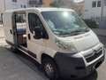 Citroen Jumper Jumper 33 L1 Weiß - thumbnail 7