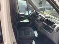 Citroen Jumper Jumper 33 L1 Weiß - thumbnail 19