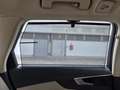 Audi A4 allroad A4 allroad 3.0 TDI 218 CV S tronic Business Evolut Verde - thumbnail 10