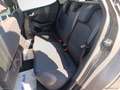Ford Fiesta 1.0 Ecoboost 125 CV 5p. Titanium Gris - thumbnail 13