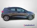 Ford Fiesta 1.0 Ecoboost 125 CV 5p. Titanium Gris - thumbnail 6