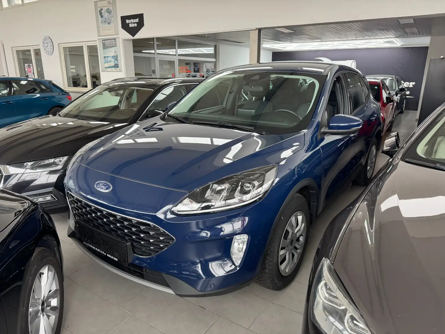 Ford Kuga Kuga 1,5 EcoBlue Cool Blau - 1