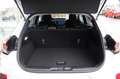 Ford Puma Titanium 1.0 EcoBoost MHEV 4,99% FIN* AHK Weiß - thumbnail 9