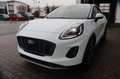 Ford Puma Titanium 1.0 EcoBoost MHEV 4,99% FIN* AHK Weiß - thumbnail 5