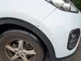 Kia Sportage Sportage 1,7 CRDI ISG Silber Silber Weiß - thumbnail 11