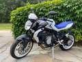 MV Agusta Brutale 800 allestimento edizione limitata tricolore Bleu - thumbnail 1