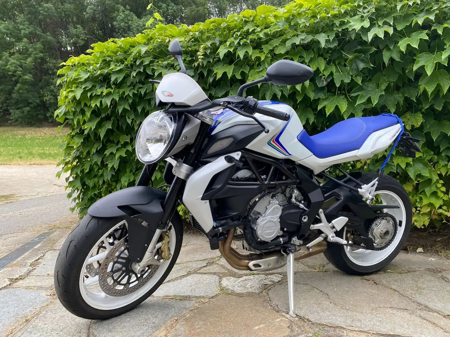 MV Agusta Brutale 800 allestimento edizione limitata tricolore Bleu - 1