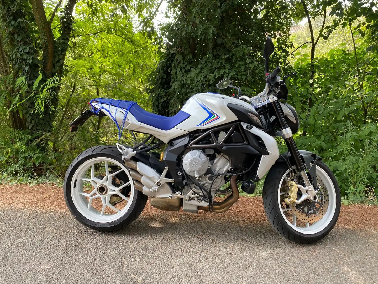 MV Agusta Brutale 800 allestimento edizione limitata tricolore Bleu - 2