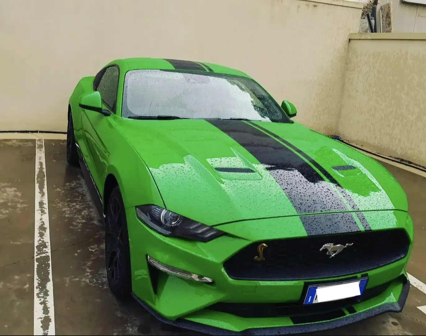 Ford Mustang Mustang VI Fastback 2.3 ecoboost 290cv my19 Green - 2