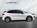 Ford Kuga Plug-In Hybrid Vignale Blanc - thumbnail 4