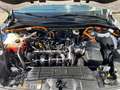 Ford Kuga Plug-In Hybrid Vignale Blanc - thumbnail 7