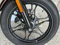 Moto Guzzi V 7 STONE Bronz - thumbnail 11