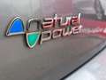 Fiat Punto Evo Punto EVO Natural Power Benzin/CNG 1.4 8V Сірий - thumbnail 8