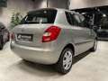 Skoda Fabia 1.2 TSI DSG Ambition 1. Hand Nur 11.000Km Beige - thumbnail 19