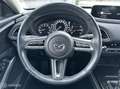 Mazda CX-30 2.0 e-SkyActiv M Hybrid AUT Acc Clima Navi Keyless Brun - thumbnail 12