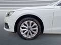 Audi A4 Avant 35 TFSI S-tronic LED NAVI 3Z-Klima Weiß - thumbnail 9