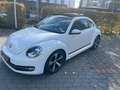 Volkswagen Beetle Lim. Cup~1.Hand Weiß - thumbnail 1