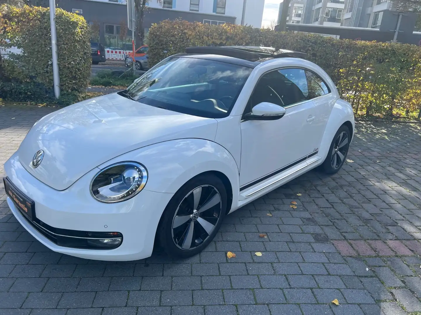 Volkswagen Beetle Lim. Cup~1.Hand Weiß - 1