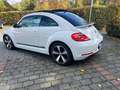 Volkswagen Beetle Lim. Cup~1.Hand Weiß - thumbnail 6