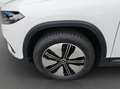 Mercedes-Benz EQA 300 4M *LED*SHZ*PTS*Navigation*SpurH*Kamera* Weiß - thumbnail 18