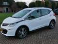 Opel Ampera-E Business executive 11299**NETTO** Blanc - thumbnail 3