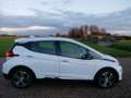 Opel Ampera-E Business executive 11299**NETTO** Blanc - thumbnail 4