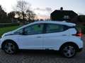 Opel Ampera-E Business executive 11299**NETTO** Blanc - thumbnail 8