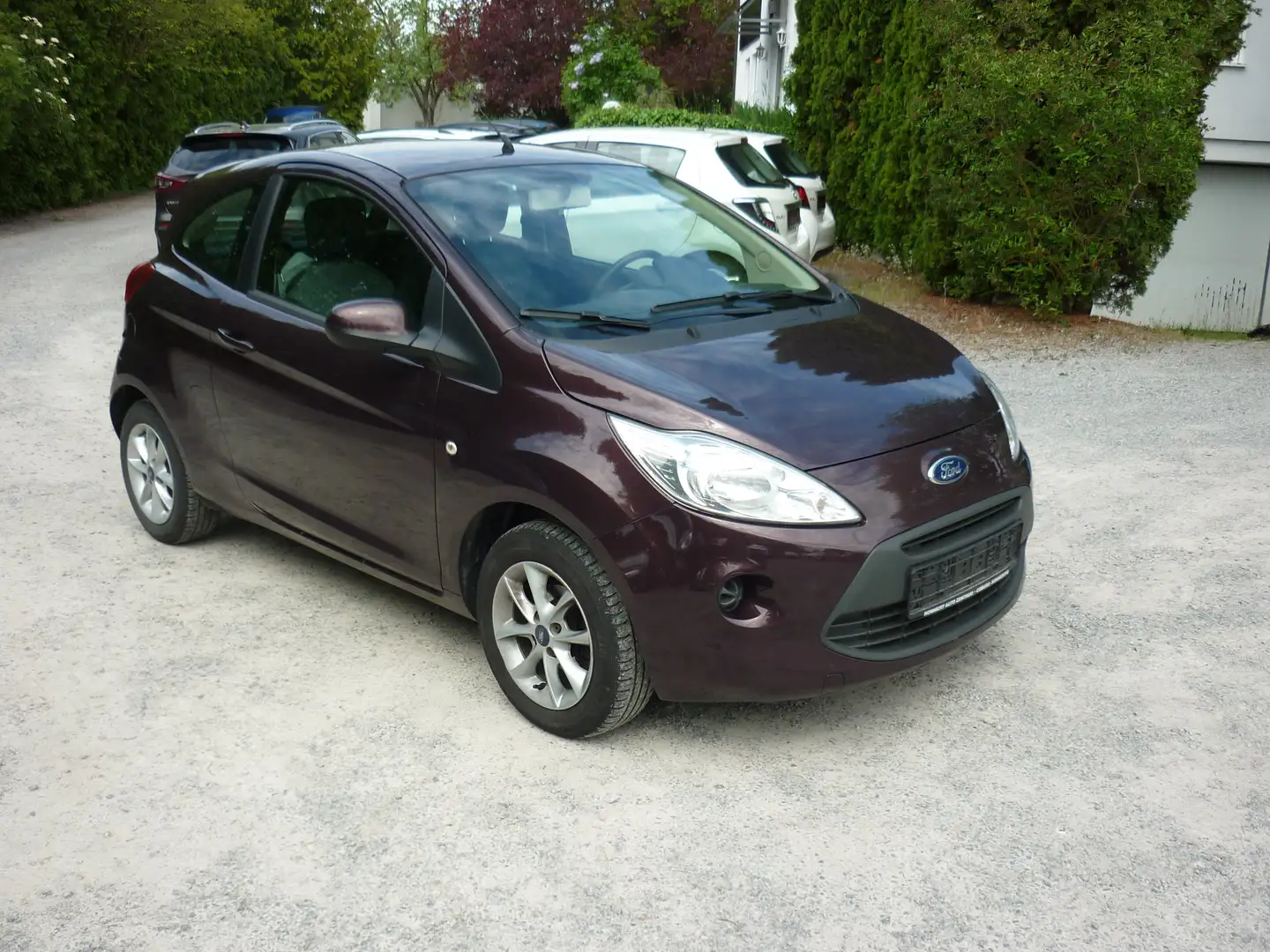 Ford Ka/Ka+ Cool* Klima* Sitzheizung* Alu* Violett - 1