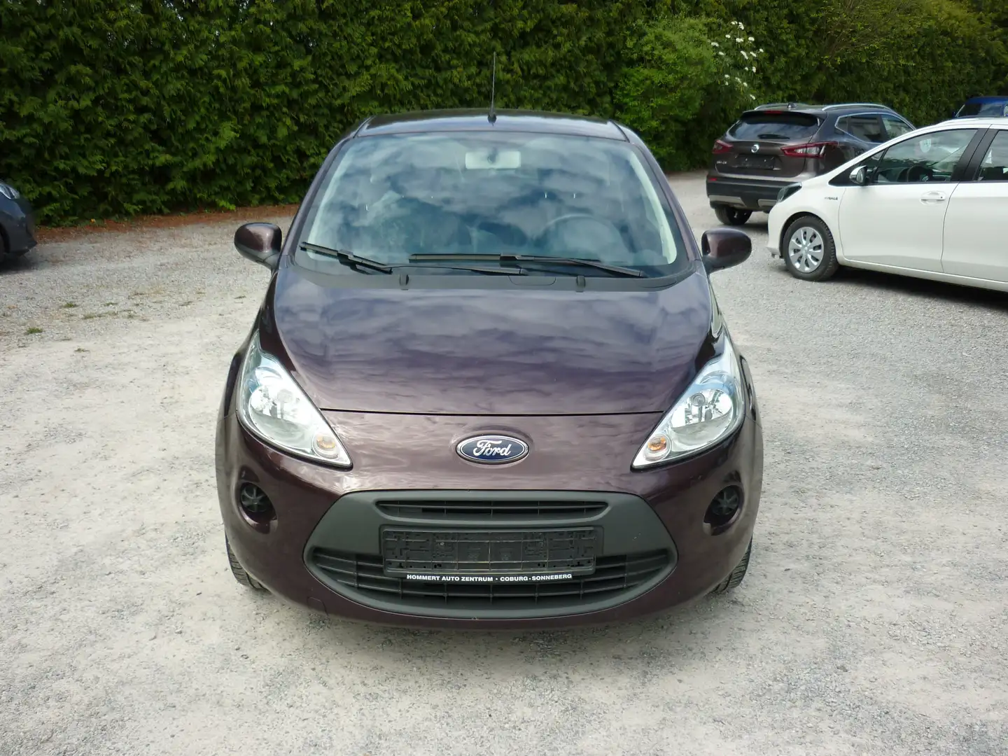 Ford Ka/Ka+ Cool* Klima* Sitzheizung* Alu* Mauve - 2