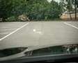 BMW 530 5-serie 530e iPerformance M Pakket I Leer I Schuif Zwart - thumbnail 10